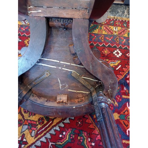 762 - A Regency mahogany hall chair, the oval panel back with moulded 'C' scroll detail over the conformin... 