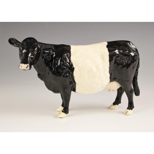 465 - A Beswick 'Belted Galloway Cow', model number 4113A, designed by Robert Donaldson, issued from 2001 ... 