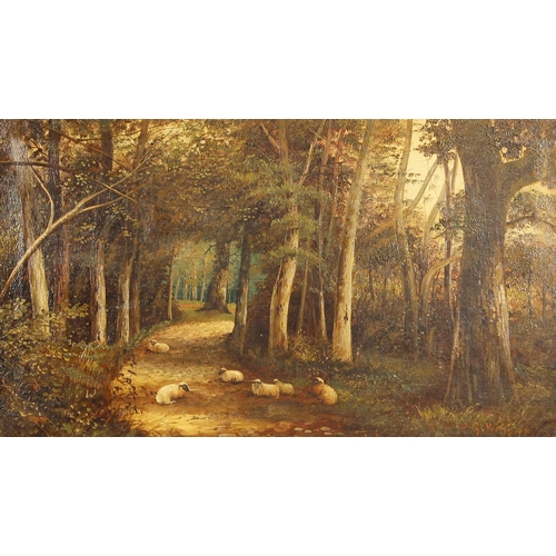 314 - G. Wright (British school, 19th century),  
Sheep on a woodland path,  
Oil on canvas,  
Signed lowe... 