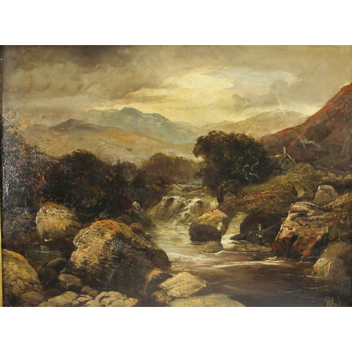 315 - W. Took (British school, 19th century),  
A fisherman below a waterfall with cottage beyond,  
Oil o... 