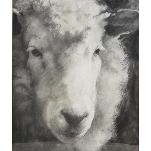 316 - A Phelps (British school, 20th century),  
Portrait of a Herdwick sheep,  
Oil on paper,  
Signed lo... 