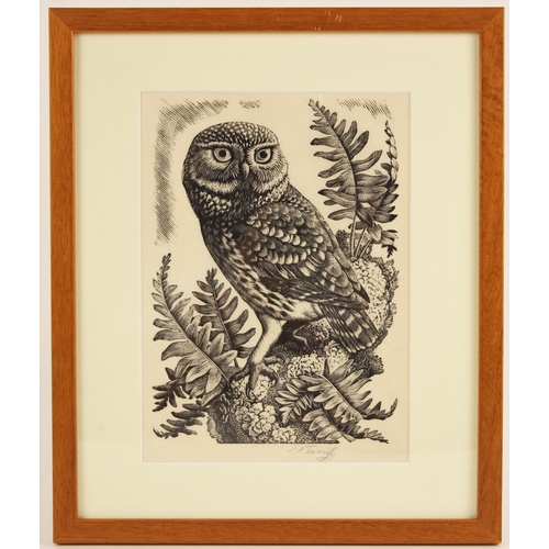 287 - Charles Frederick Tunnicliffe R.A. (British, 1901-1979),  
'Little Owl' (1956),   
Wood engraving on... 