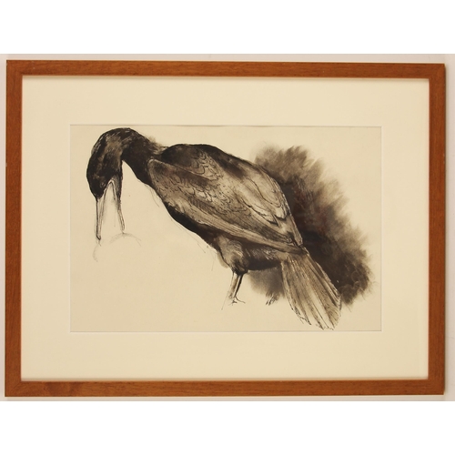 289 - Charles Frederick Tunnicliffe R.A. (British, 1901-1979),  
'Cormorant',  
Ink wash on paper,  
Unsig... 