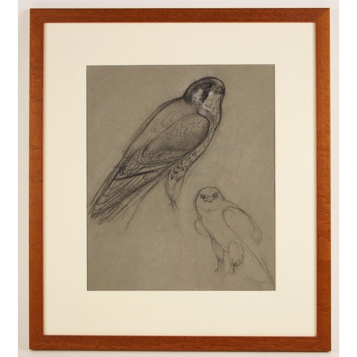 290 - Charles Frederick Tunnicliffe R.A. (British, 1901-1979),   
'Falcon',  
Charcoal and chalk studies o... 