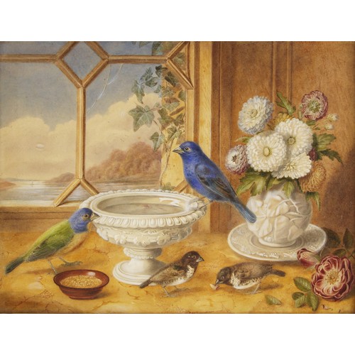 292 - English school (19th century),  
'Prize Pair Of Foreign Birds',  
Watercolour on paper,  
Unsigned, ... 