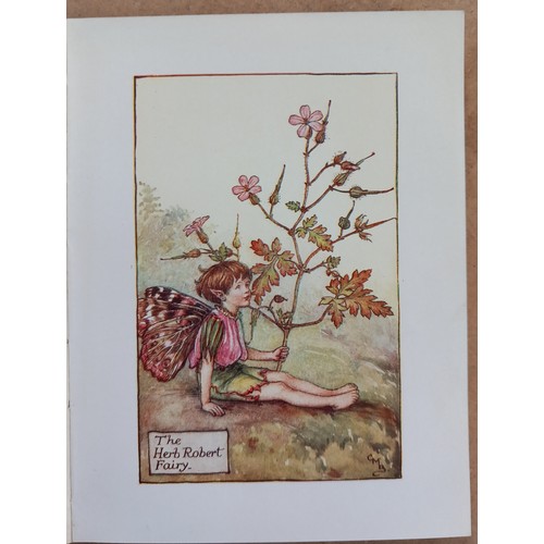 249 - Barker (Cicely Mary), FLOWER FAIRIES OF THE SUMMER, illustrated card boards, DJ (clipped), with FLOW... 