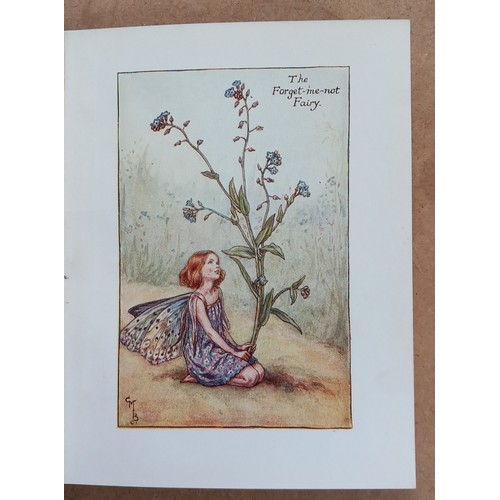 249 - Barker (Cicely Mary), FLOWER FAIRIES OF THE SUMMER, illustrated card boards, DJ (clipped), with FLOW... 