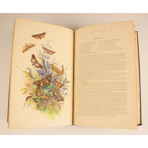 192 - Humphreys (H.N.) THE GENERA OF BRITISH MOTHS. POPULARLY DESCRIBED AND ARRANGED ACCORDING TO THE SYST... 