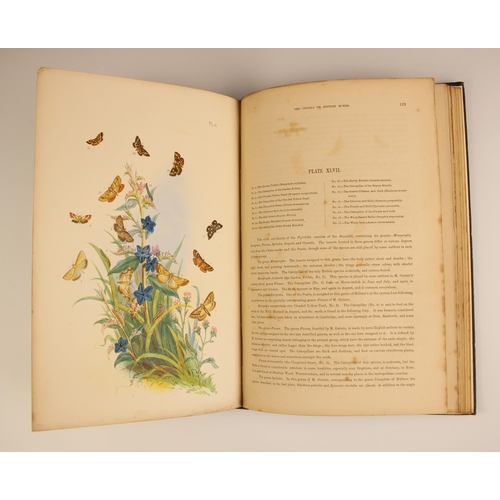 192 - Humphreys (H.N.) THE GENERA OF BRITISH MOTHS. POPULARLY DESCRIBED AND ARRANGED ACCORDING TO THE SYST... 