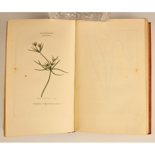 235 - Duppa (Richard), THE CLASSES AND ORDER OF THE LINNAEAN SYSTEM OF BOTANY, Illustrated by Select Speci... 