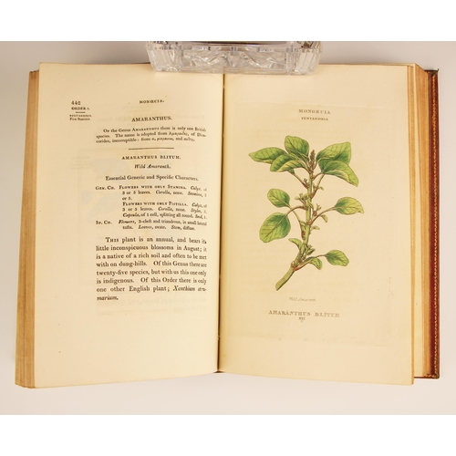 235 - Duppa (Richard), THE CLASSES AND ORDER OF THE LINNAEAN SYSTEM OF BOTANY, Illustrated by Select Speci... 