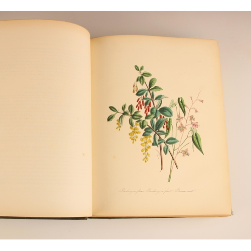 236 - Loudon (Mrs Jane), BRITISH WILD FLOWERS, third edition, original gilt embossed green cloth applied t... 