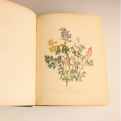 236 - Loudon (Mrs Jane), BRITISH WILD FLOWERS, third edition, original gilt embossed green cloth applied t... 