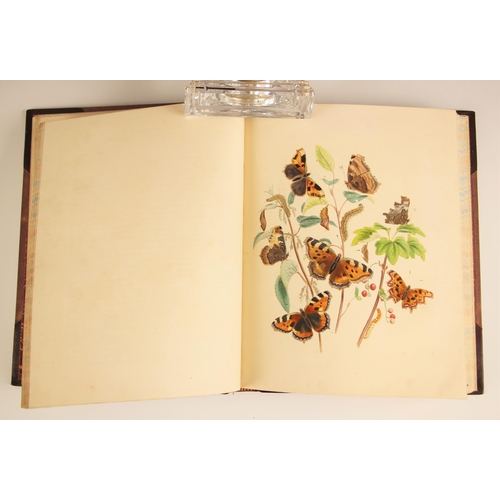 237 - Humphreys (H.N.) and Westwood (J.O.), BRITISH BUTTERFLIES AND THEIR TRANSFORMATIONS, first edition, ... 