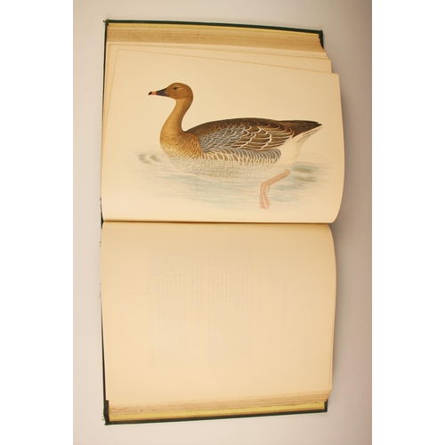 242 - Morris (Beverley. R), BRITISH GAME BIRDS AND WILDFOWL, early edition, green cloth boards, gilt embos... 