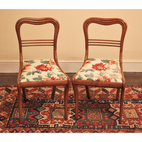 673 - * A pair of Regency mahogany dining chairs, the compressed and lobed balloon back, over a drop-in se... 