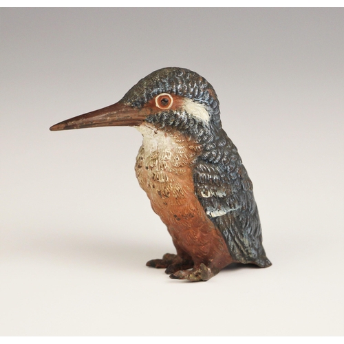 75 - An Austrian cold painted bronze figure of a kingfisher, early 20th century, the realistically modell... 