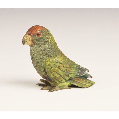 76 - An Austrian cold painted bronze figure of a parrot, early 20th century, the realistically modelled p... 