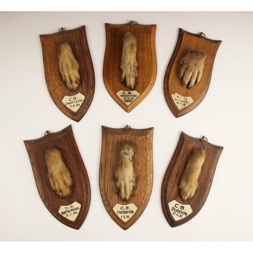 262 - TAXIDERMY: A shield-mounted otter's paw hunting trophy, early 20th century, with applied ivorine pla... 