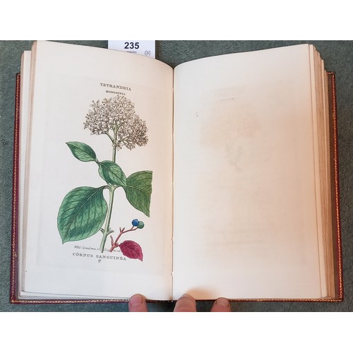 235 - Duppa (Richard), THE CLASSES AND ORDER OF THE LINNAEAN SYSTEM OF BOTANY, Illustrated by Select Speci... 