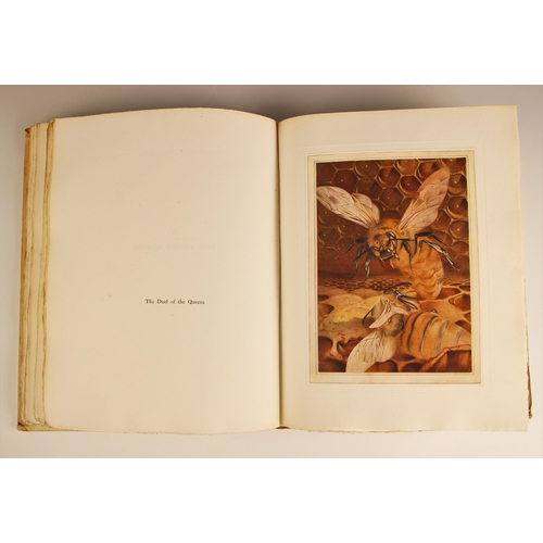 604 - Maeterlinck (Maurice), THE LIFE OF THE BEE, first thus, 'vellum effect' card boards, gilt embossed i... 