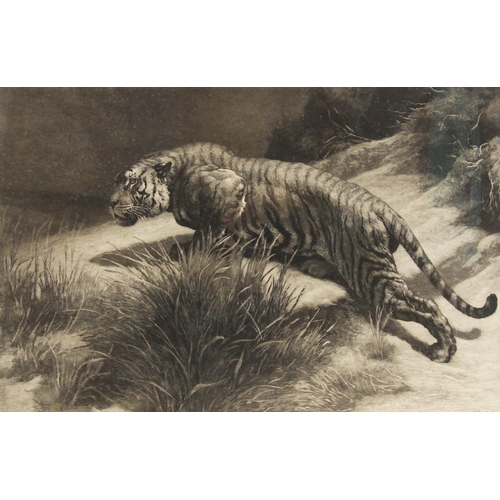 625 - After Herbert Thomas Dicksee (English, 1862-1942),
‘The Startled Tiger’,
Etching,
Signed in pencil a... 