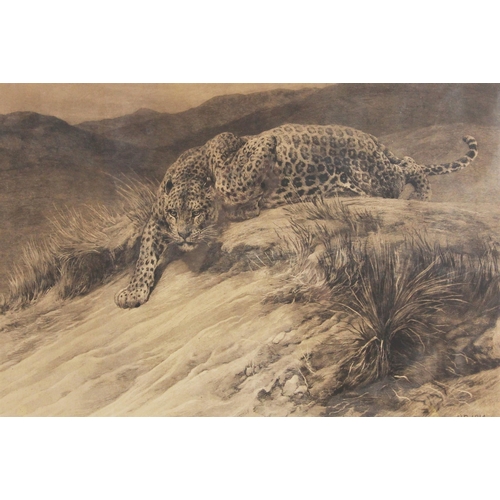 628 - After Herbert Thomas Dicksee (English 1862-1942),
‘Stealth, A Leopard’,
Etching,
Signed in pencil an... 