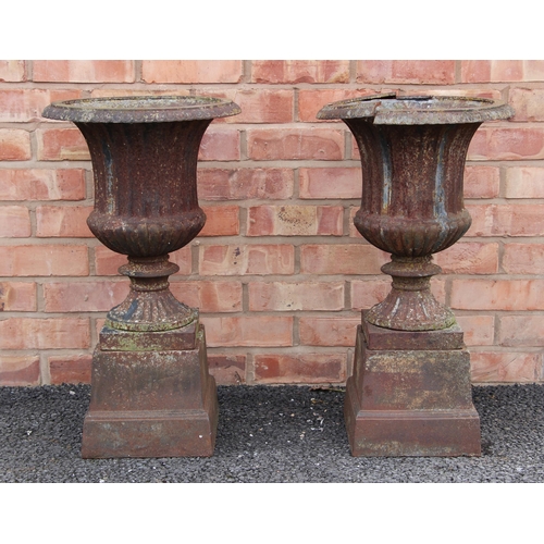 1237 - A pair of Victorian cast iron garden urns, of campana form, with a gadrooned rim and fluted body, up... 