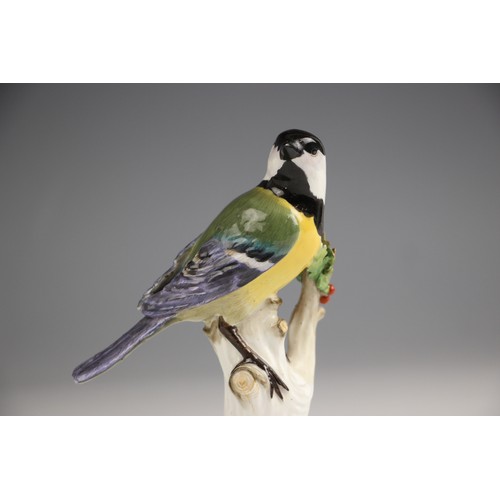 807 - A Meissen porcelain model of a Great Tit, 19th century, perched upon a branch with gilt highlights, ... 