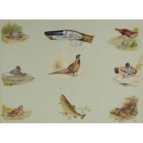 494 - English school (20th century),  
A sheet containing studies of gamebirds, a trout and a shotgun brea... 