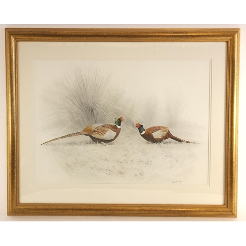 506 - Ben Hoskyns (b.1963), 
'Sparring Pheasants',  
Watercolour and pencil on paper,  
Signed lower right... 