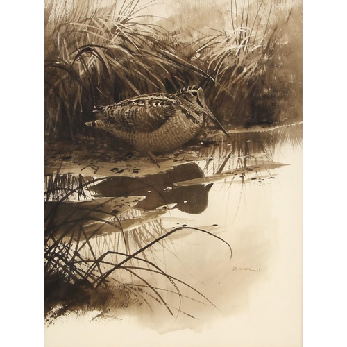 509 - Rodger McPhail (British, b.1953),  
A woodcock at a stream's edge,  
Monochrome watercolour on paper... 