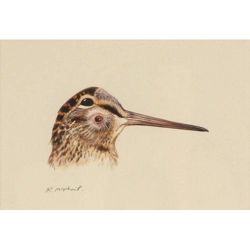 511 - Rodger McPhail (British, b.1953),  
A study of a woodcock's head,  
Watercolour and gouache on paper... 