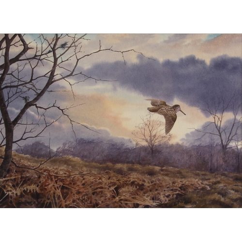 512 - O. Williams (English school, late 20th century),  
A woodcock in flight,  
Watercolour on paper,  
S... 