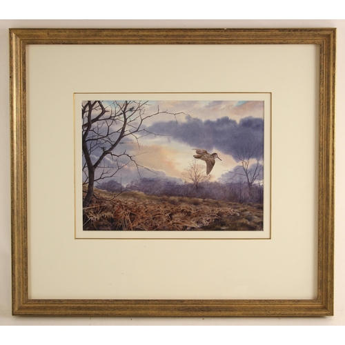 512 - O. Williams (English school, late 20th century),  
A woodcock in flight,  
Watercolour on paper,  
S... 