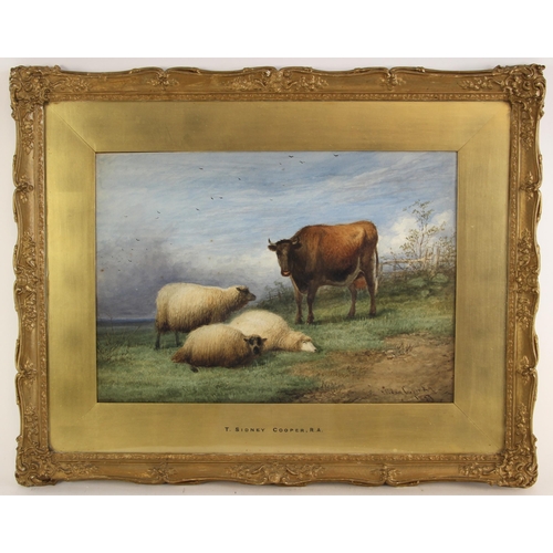 524 - Attributed to Thomas Sidney Cooper RA (British, 1803-1902),   
Study of sheep and a cow,  
Watercolo... 