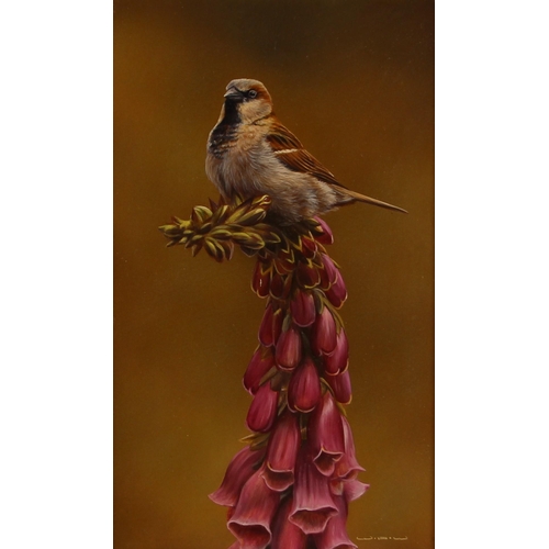 546 - Wayne Westwood (contemporary British),  
A sparrow atop a foxglove,  
Oil on board,  
Initialled low... 