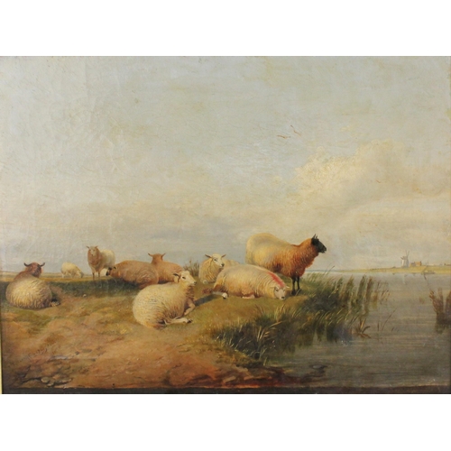 553 - Thomas Sidney Cooper RA (British, 1803-1902),  
Sheep on a riverbank with windmill beyond,  
Oil on ... 