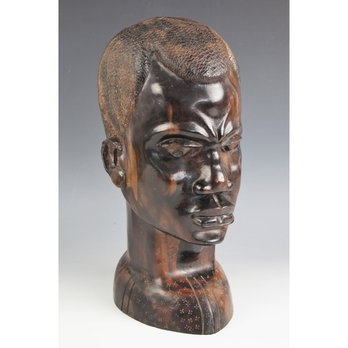 601 - Circle of Benoit Konongo (1919-2008), a large polished coromandel carving of a young mans head, 38.5... 