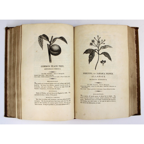 460 - Thornton (Robert John), A NEW FAMILY HERBAL: OR POPULAR ACCOUNT OF THE NATURES AND PROPERTIES OF THE... 