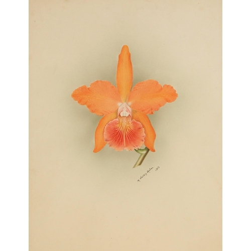 517 - Minnie Walters Anson (British, 1875-1959),  
Study of an orchid flower,   
Watercolour on card,  
Si... 