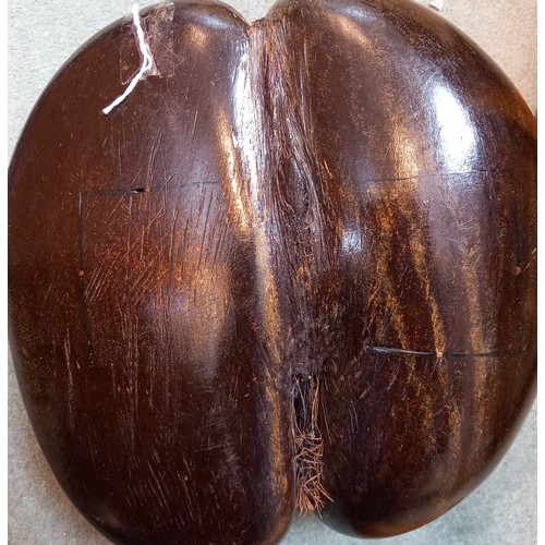 382 - A Coco De Mer nut (Lodoicia Maldivica), of polished form, 24.5cm wide

Provenance: Wykey House