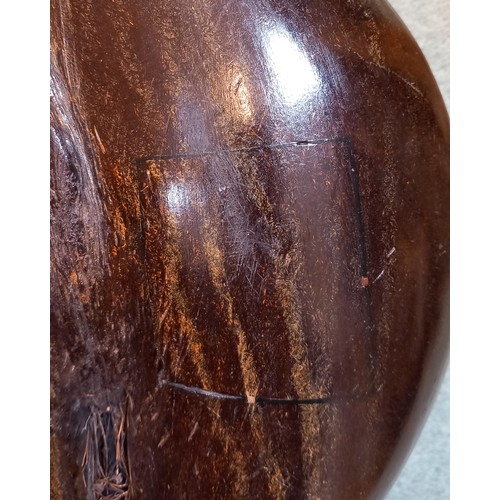 382 - A Coco De Mer nut (Lodoicia Maldivica), of polished form, 24.5cm wide

Provenance: Wykey House