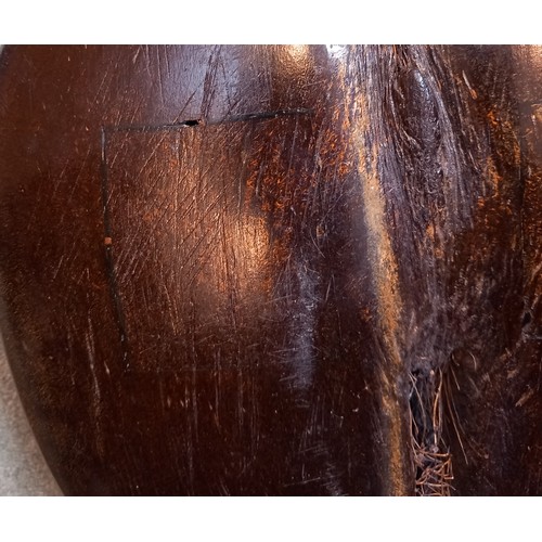 382 - A Coco De Mer nut (Lodoicia Maldivica), of polished form, 24.5cm wide

Provenance: Wykey House