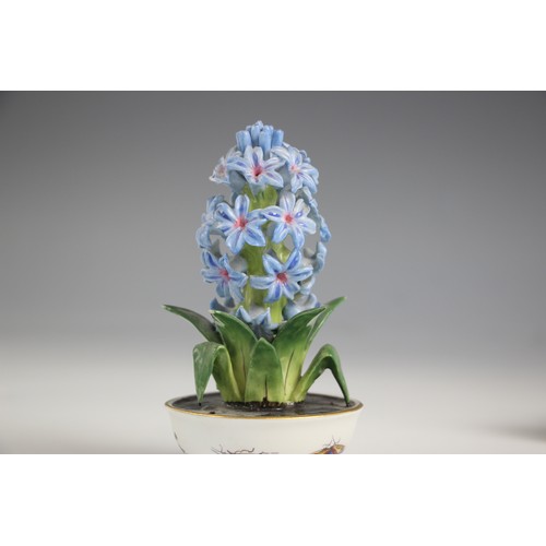 690 - A porcelain model of a hyacinth, 20th century, set to a bowl decorated with exotic birds in the mann... 