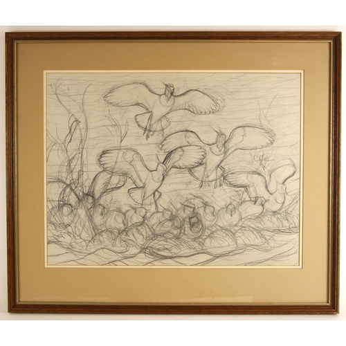 485 - English school (20th century),  
A study of seabirds landing on a crowded nesting area,  
Pencil on ... 