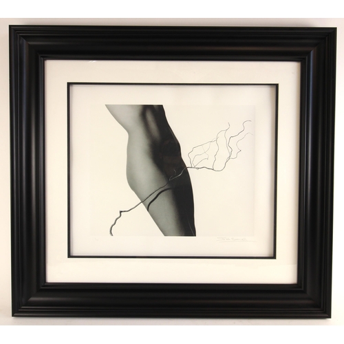 462 - John Swannell (British, b.1946),  
'Nude And Twig',  
Limited edition photographic print on paper,  ... 