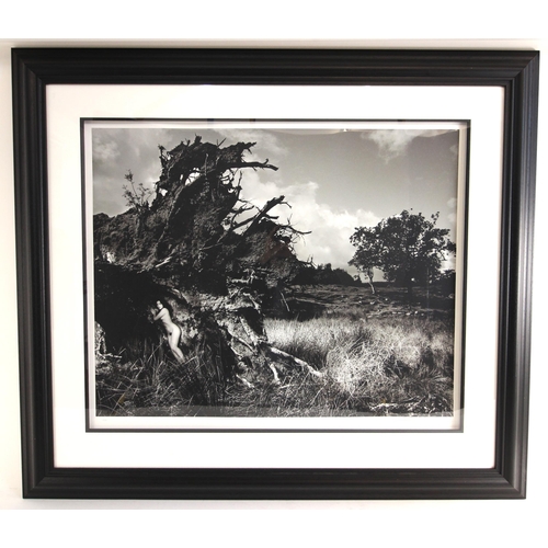 463 - John Swannell (British, b.1946),  
'Becky In Uprooted Tree',  
Limited edition photographic print on... 