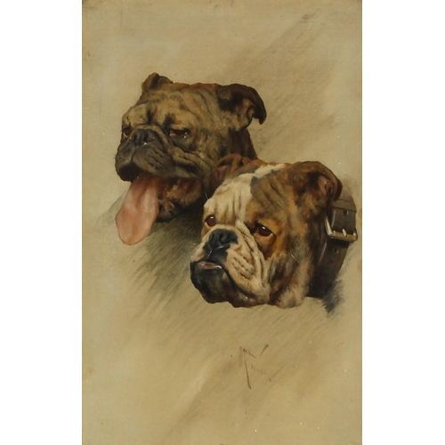 495A - Arthur Wardle (British, 1864-1949),  
Study of two bulldog heads,  
Oil on canvas,  
Signed lower ce... 