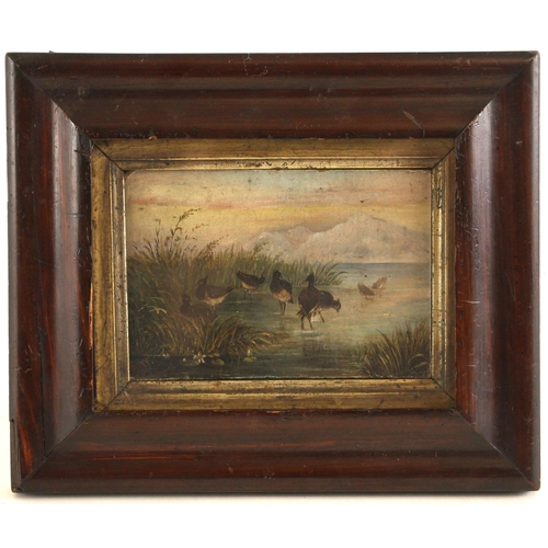 517 - English school (late 19th century),  
A naïve study of wading birds,  
Oil on panel,  
Indistinctly ... 